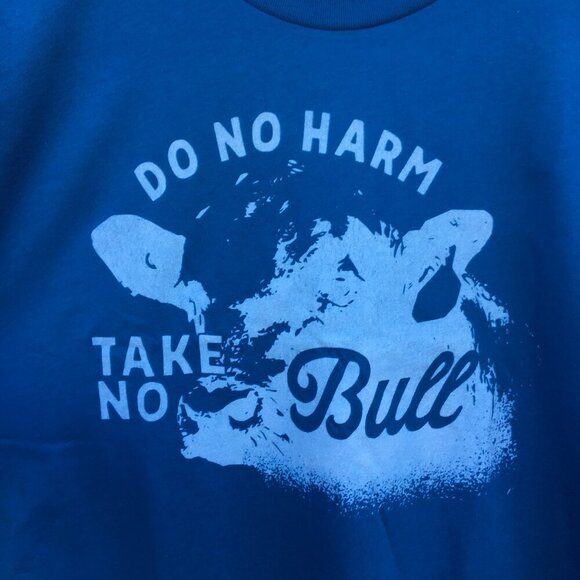 Do No Harm Take No Bull Graphic Tee Shirt XL Teal Blue Western Rodeo - Picture 3 of 7